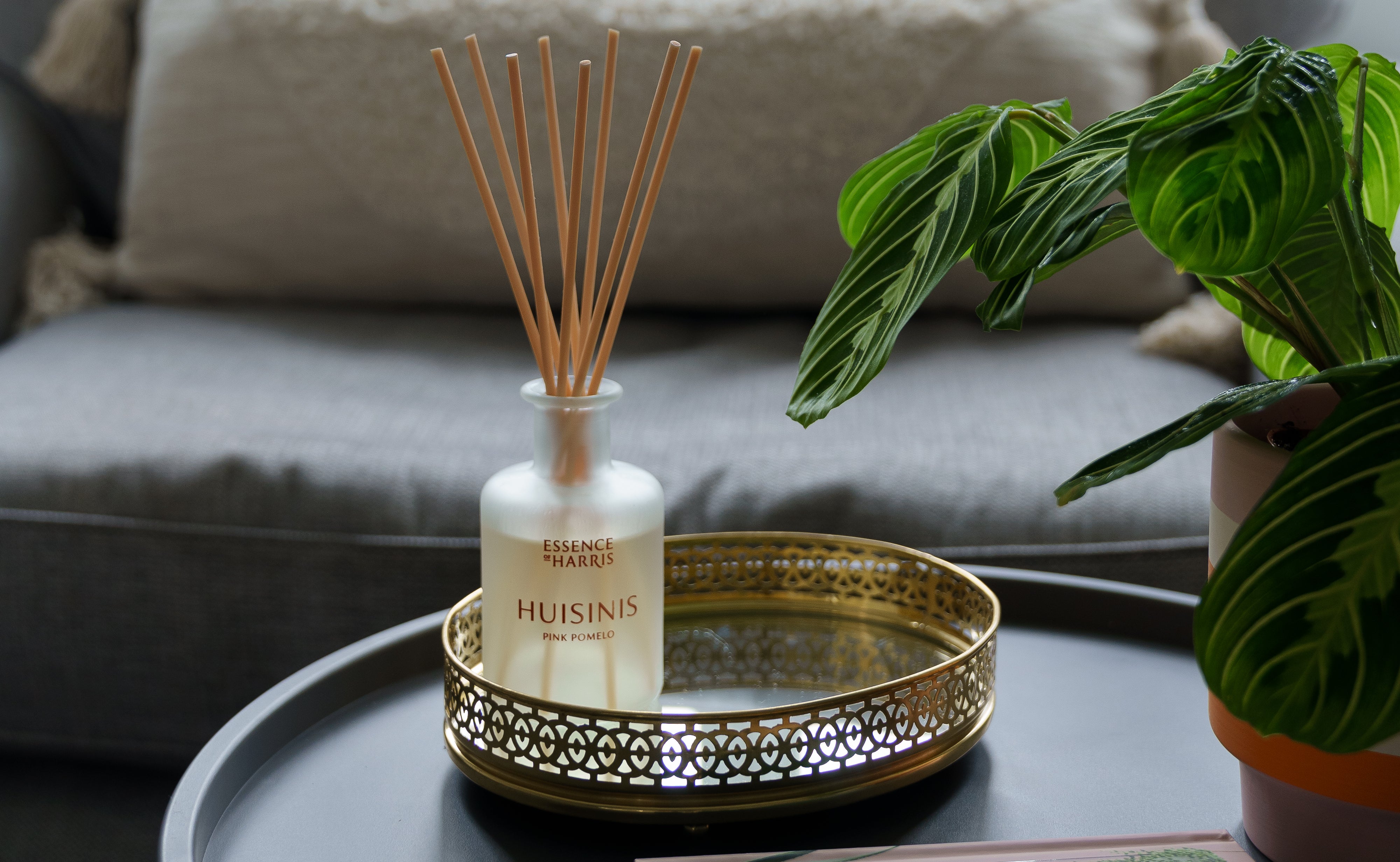 Huisinis pink pomelo reed diffuser on gold tray next to plant