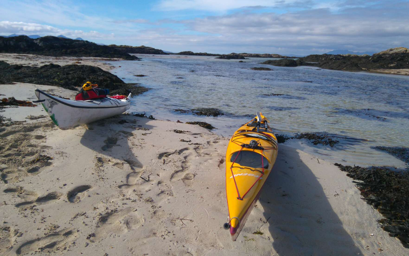 Why are we drawn to the sea?