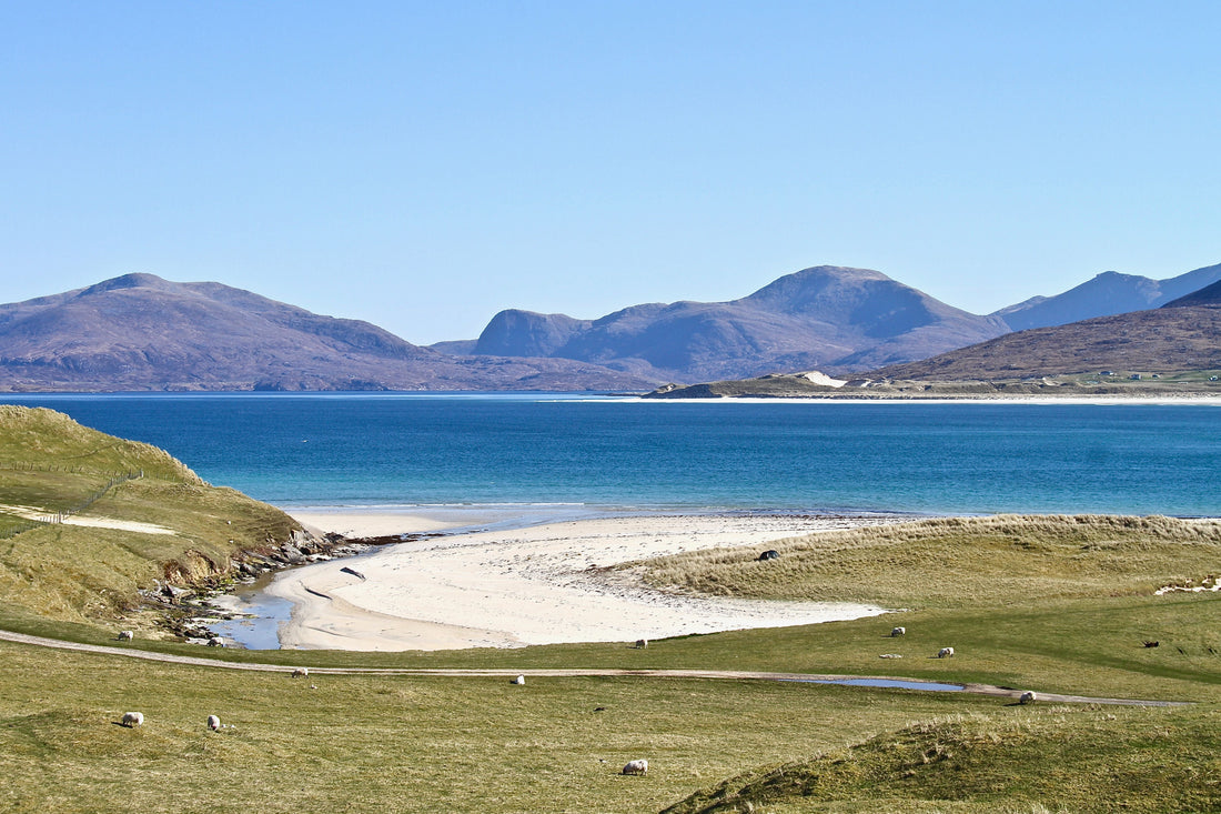 Thank You! From All of us at Essence of Harris