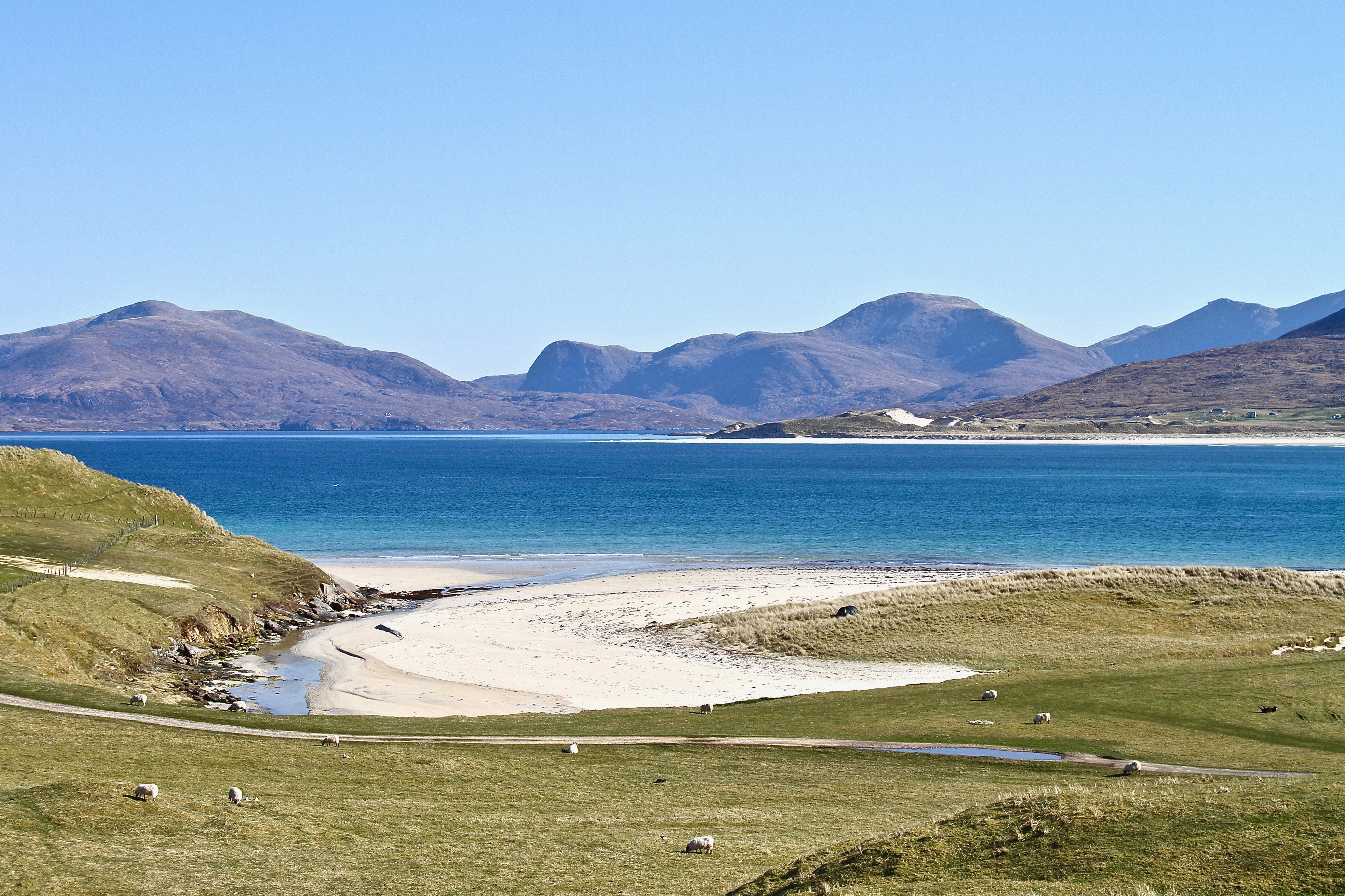 Thank You! From All of us at Essence of Harris