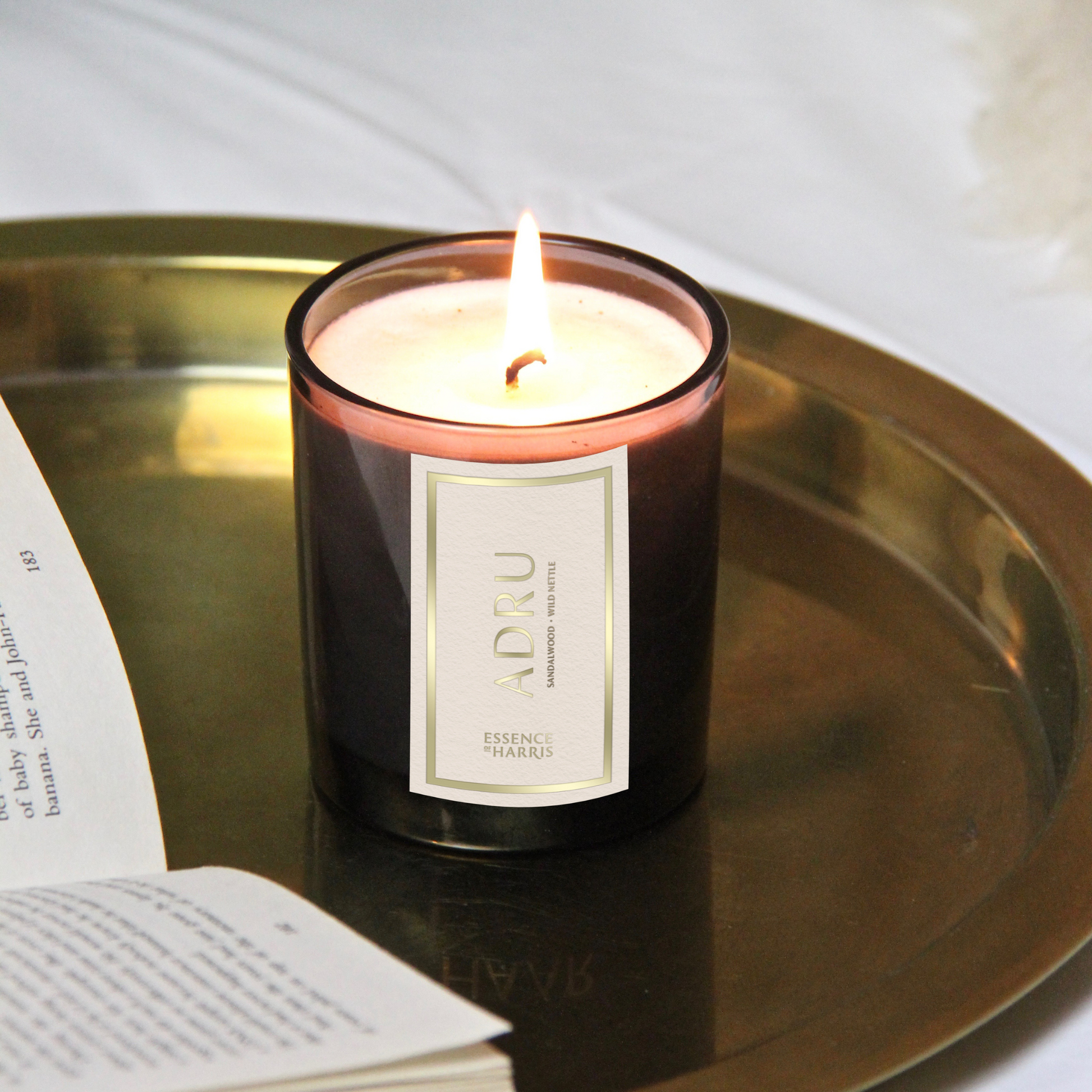Essence of Harris Adru sandalwood and wild nettle soy wax candle in dark candle glass pictured in a home 
