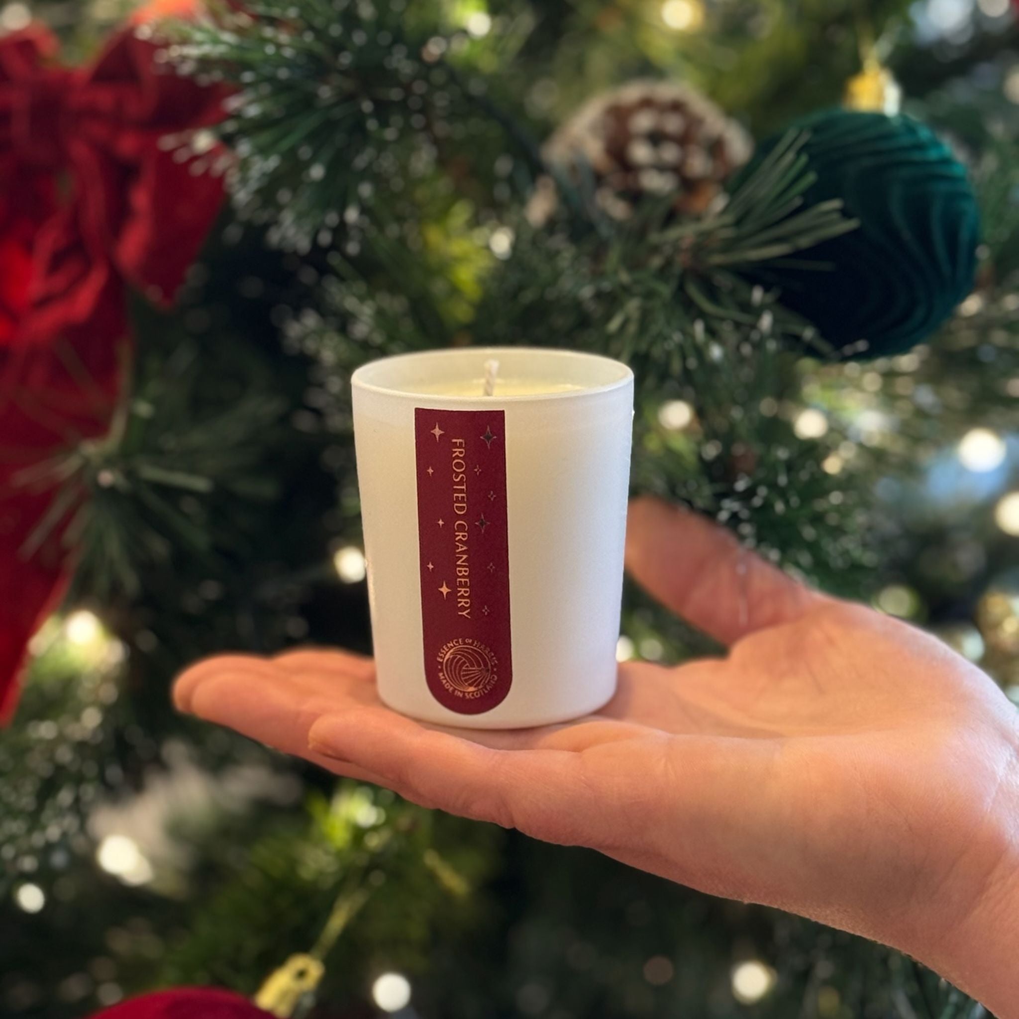 Frosted Cranberry Mini Home & Bath Gift Set