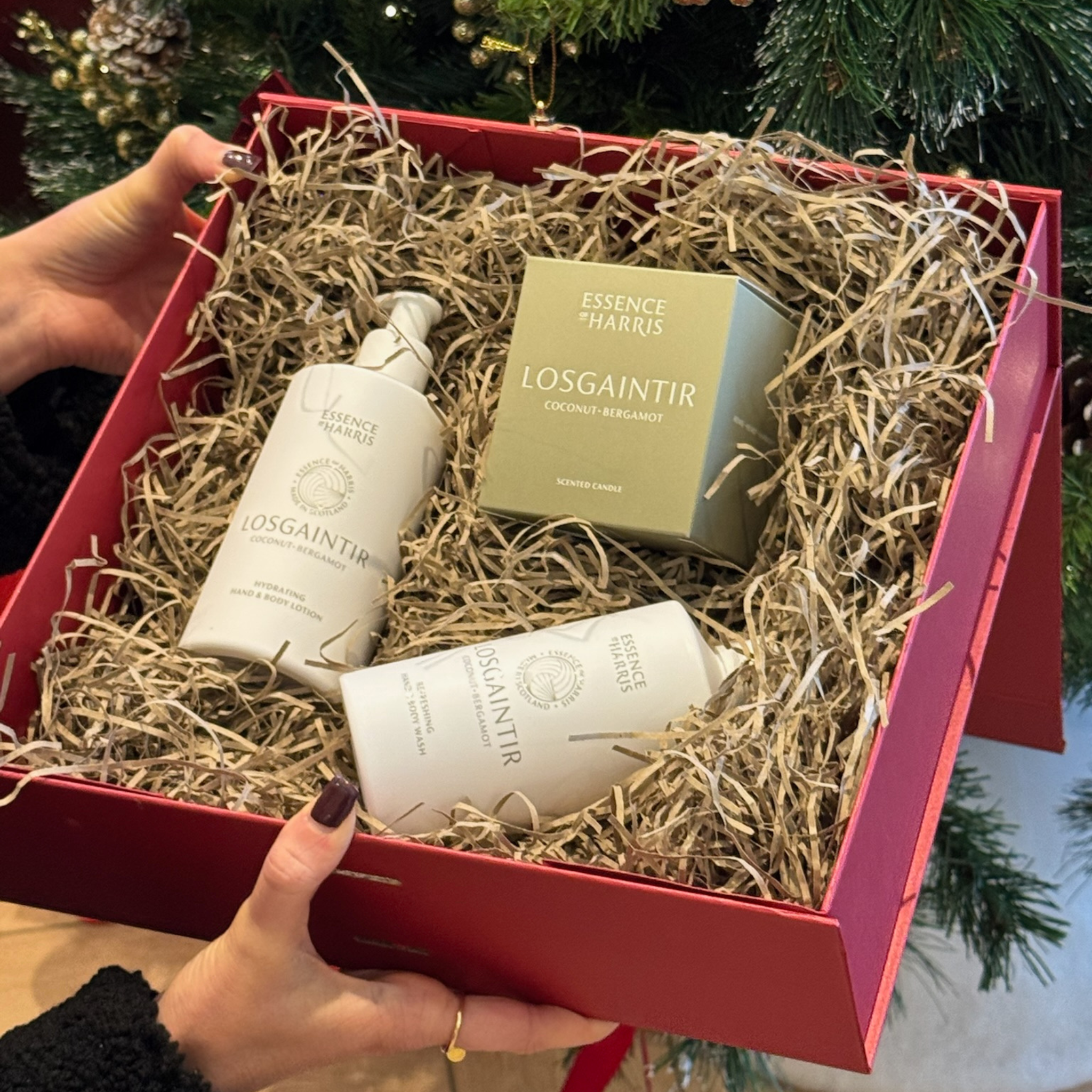 Losgaintir Home and Body Gift Box