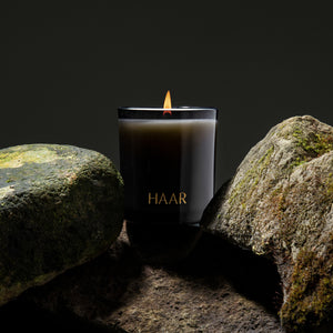 Haar, fig leaf and cedar soy wax candle in black glass vessel