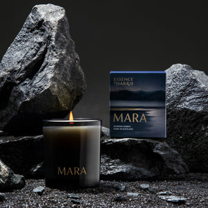 Mara, samphire and sea minerals soy wax candle in black smoked glass vessel next to blue sea box